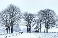 Winter Twentepad