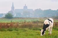 In de voetsporen van de Brabantse Hertogen