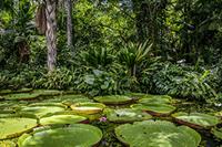 Ontdek de Amazone in Peru
