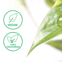 Vegan and vegetarian cosmetics