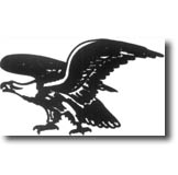 Black eagle Black eagle