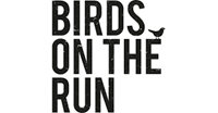 Birds on the run Birds on the run