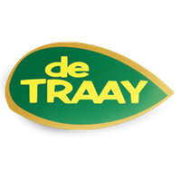 Traay Traay