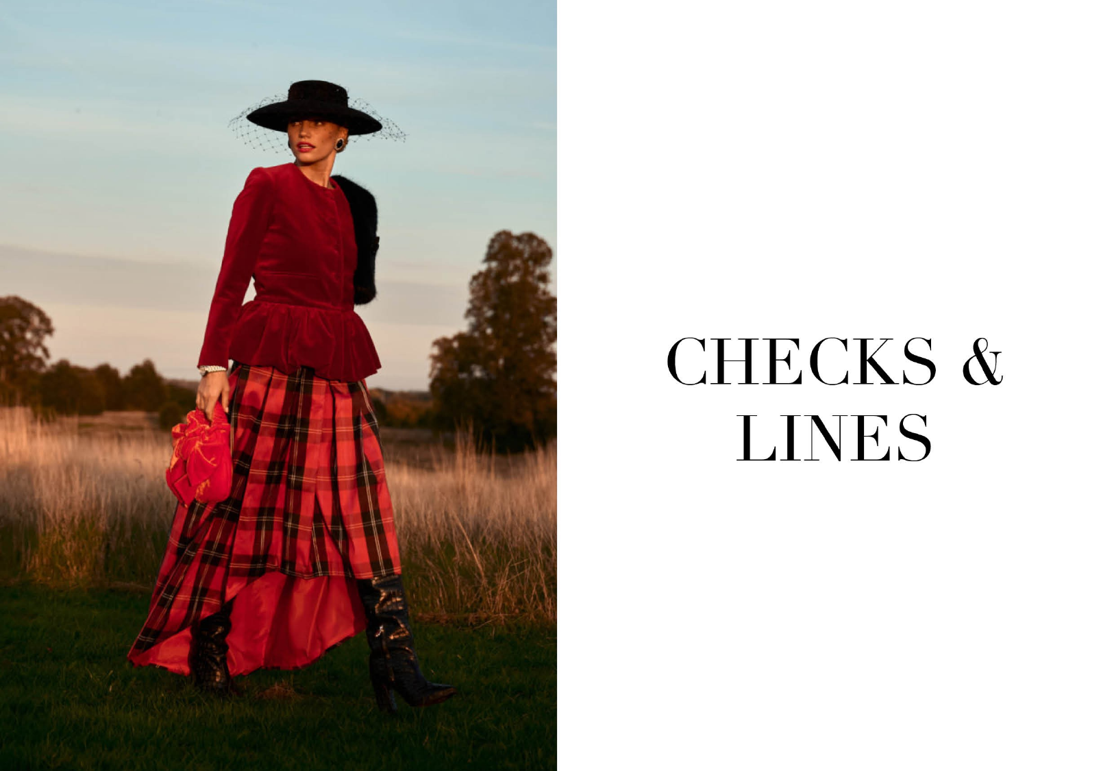 Checks & Lines