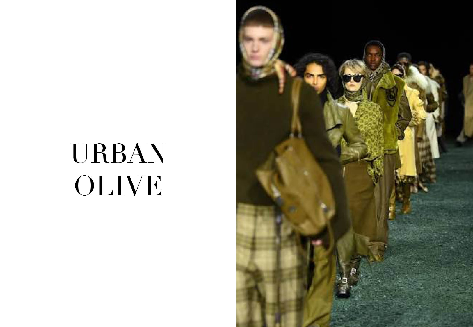 Urban Olive