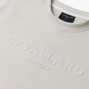 Cavallaro polo detail
