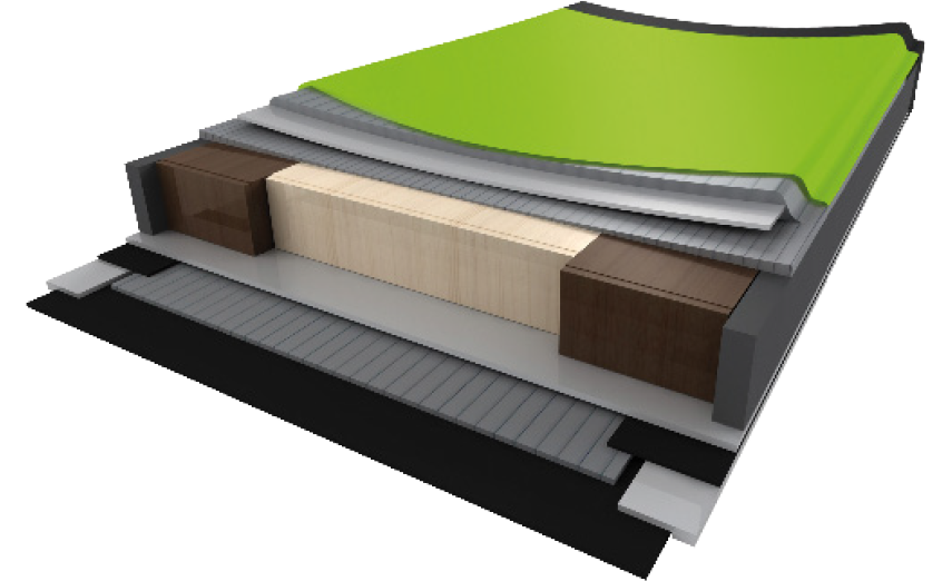 Elan Amphibio Concave