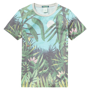 Scotch Shrunk t-shirt natuur print