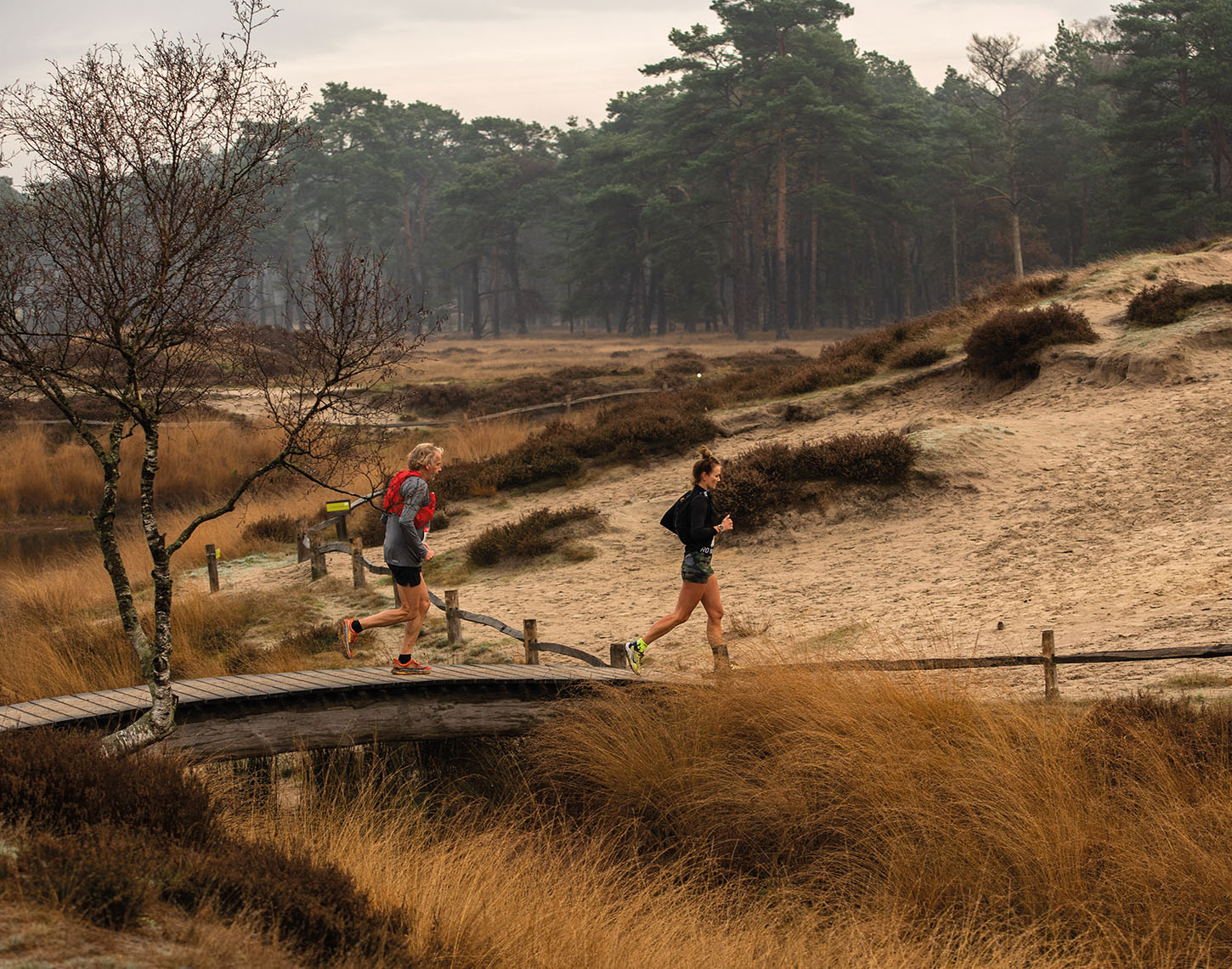 2 personen die hardlopen in bosachtigee omgeving