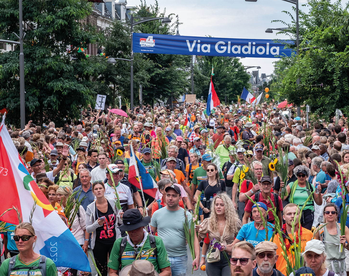 zicht op mensenmassa die de 4daagse van Nijmegen lopen
