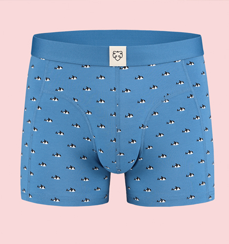 adam underwear nieuwe collectie 2019