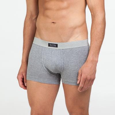 Boxer