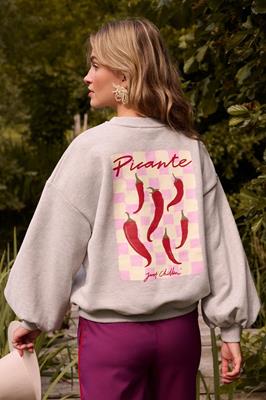 Ydence Sweater Just chillin | Grey melange