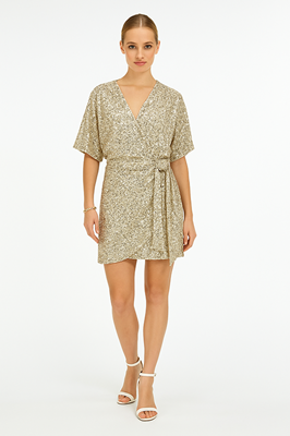 JOSH V Jurk Elke JV-2506-1401 Silver