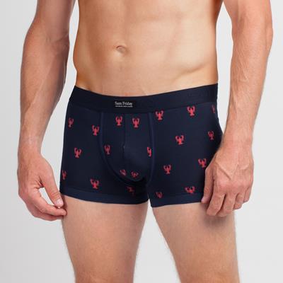 Boxer
