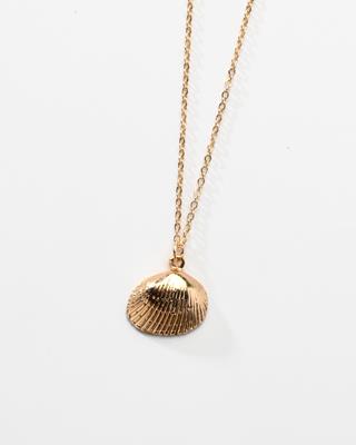 Seashell Necklace