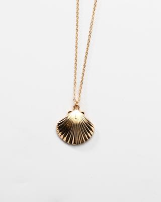 Scallop Necklace