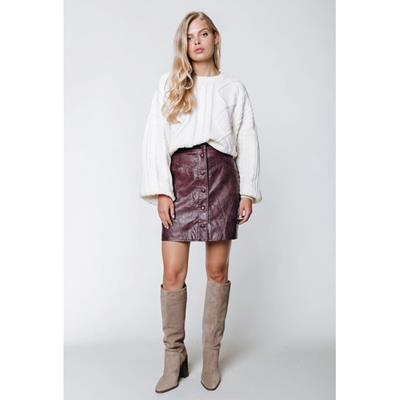 Colourful Rebel Dolizi Vegan Leather Skirt WS213154 Burgundy