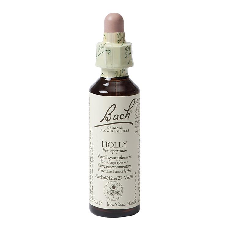 Holly / Ilex aquifolium (Hulst) (20 ml.)