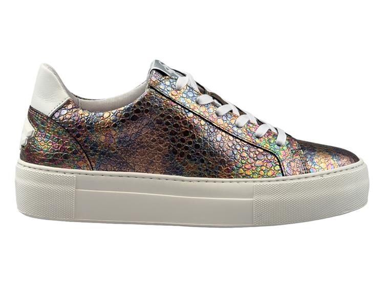 Floris van Bommel SFW-10059
