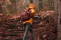 Herfstwandelingen