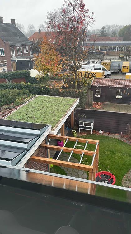 Kunnen Douglas palen een Sedum dak dragen?
