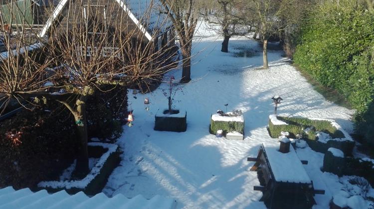Tuintips voor December