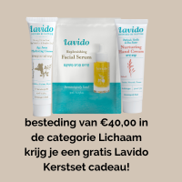 A Festive Christmas Gift from Lavido