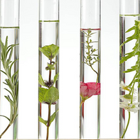 Ingrediënten in cosmetica met uitleg (INCI's)
