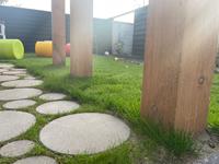 Wat is beter douglas hout of hardhout?