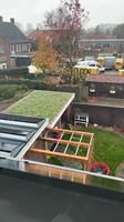 Wat zijn de voor- en nadelen van een Sedum dak?