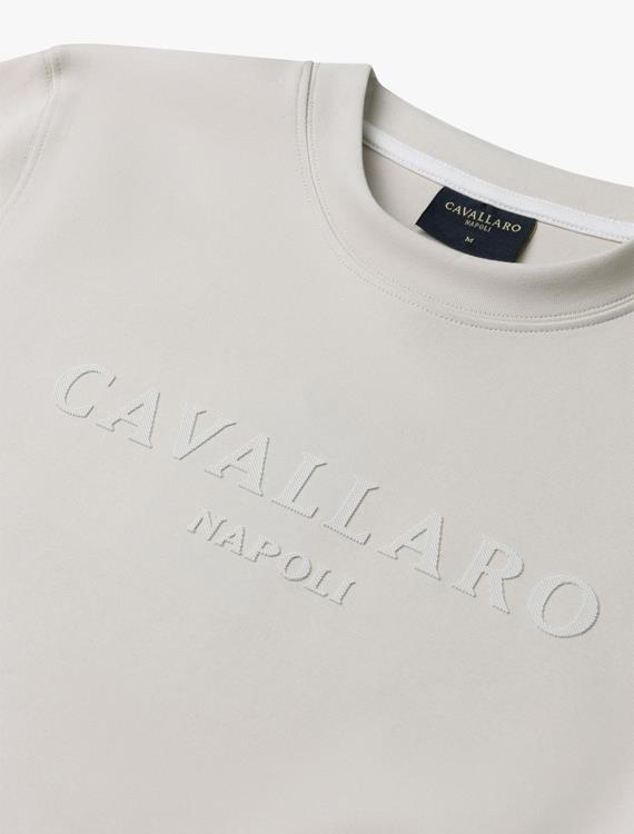 De Gids voor de Perfecte Polo: Sportieve Klasse van Cavallaro