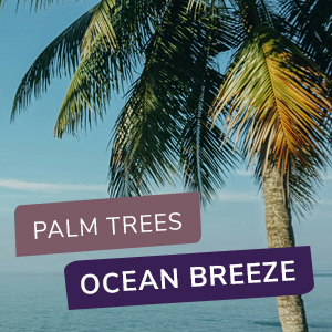 Palm trees, ocean breeze
